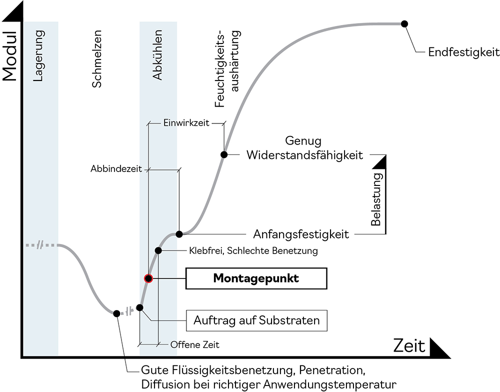 Entwicklung während der Verarbeitung